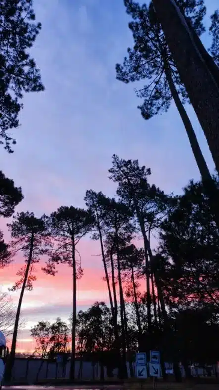 52e92f_02b52797cecd489d97c750d5b91718f5~mv2