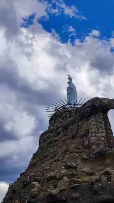 52e92f_181e791b2b01467d93457a909b2dc12c~mv2