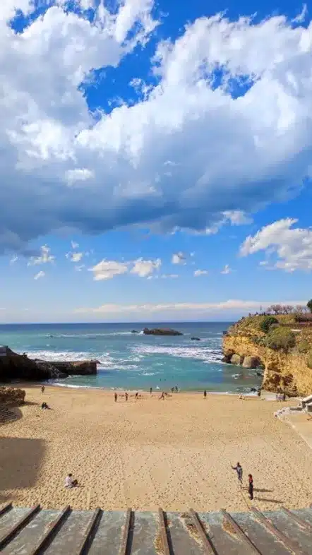 52e92f_25766eb211a44a499a68f6de7798e26d~mv2