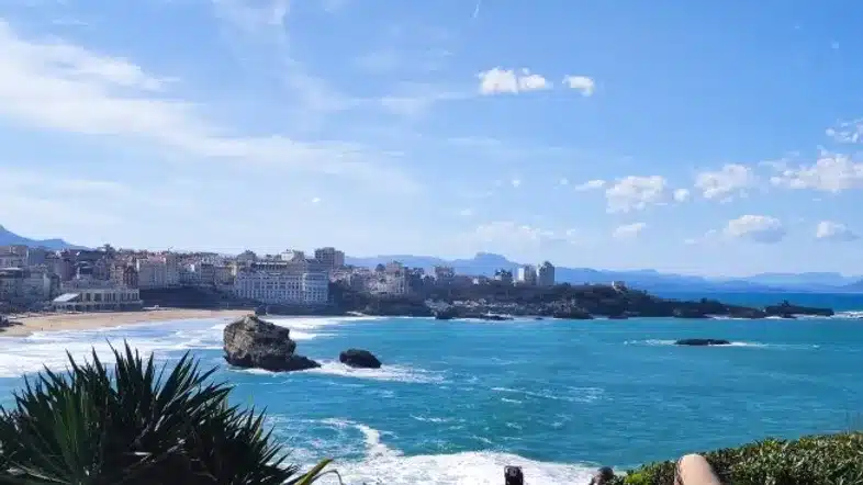 52e92f_330713532d8f4e99be80b552b630c34b~mv2