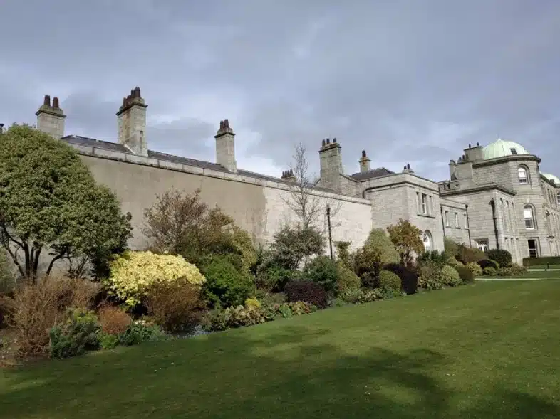 52e92f_53300861145a4b31b22bf25889231522~mv2