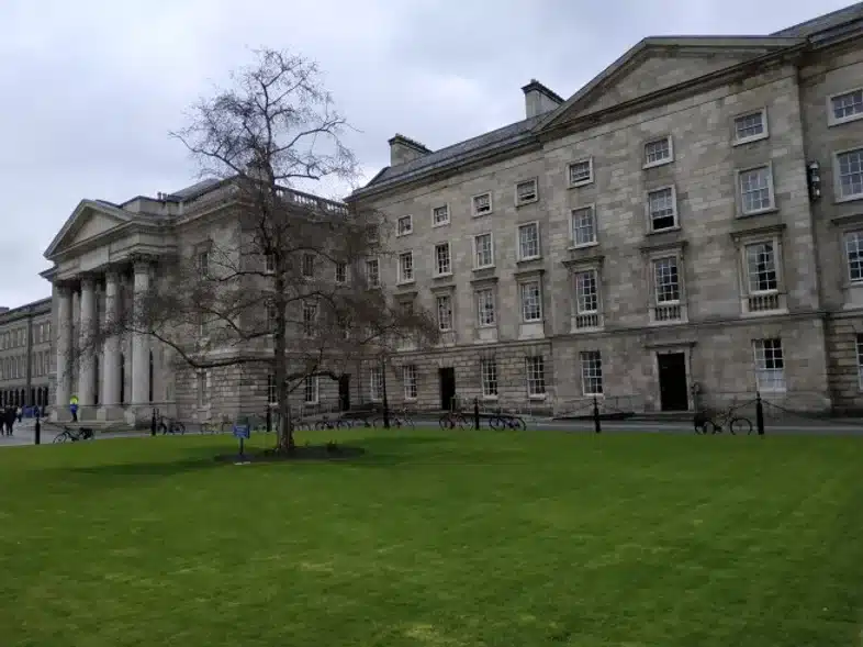 52e92f_5514f9a52ef54bca92ad64afe3f590a7~mv2