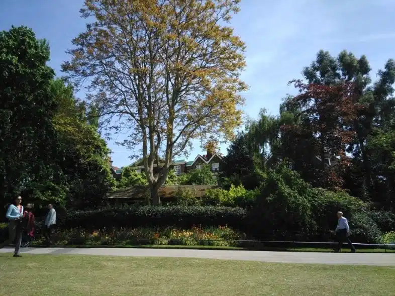 52e92f_68df355f38084376b531c6116e665960~mv2