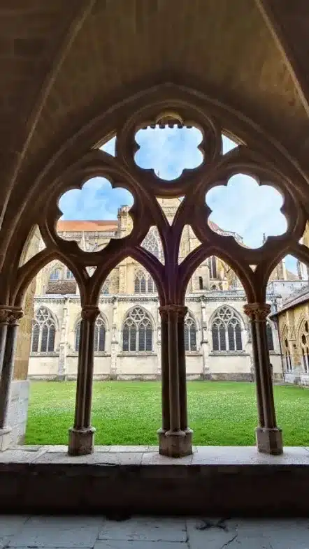 52e92f_76a68e5567784afe8181118aa48bff5c~mv2