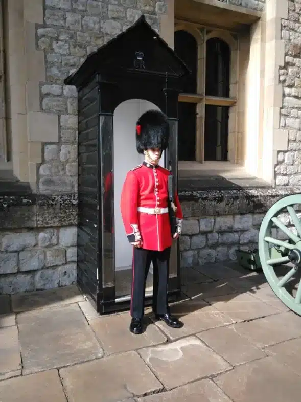 52e92f_92c0e11158ab45e0b8891a6feff9bce9~mv2