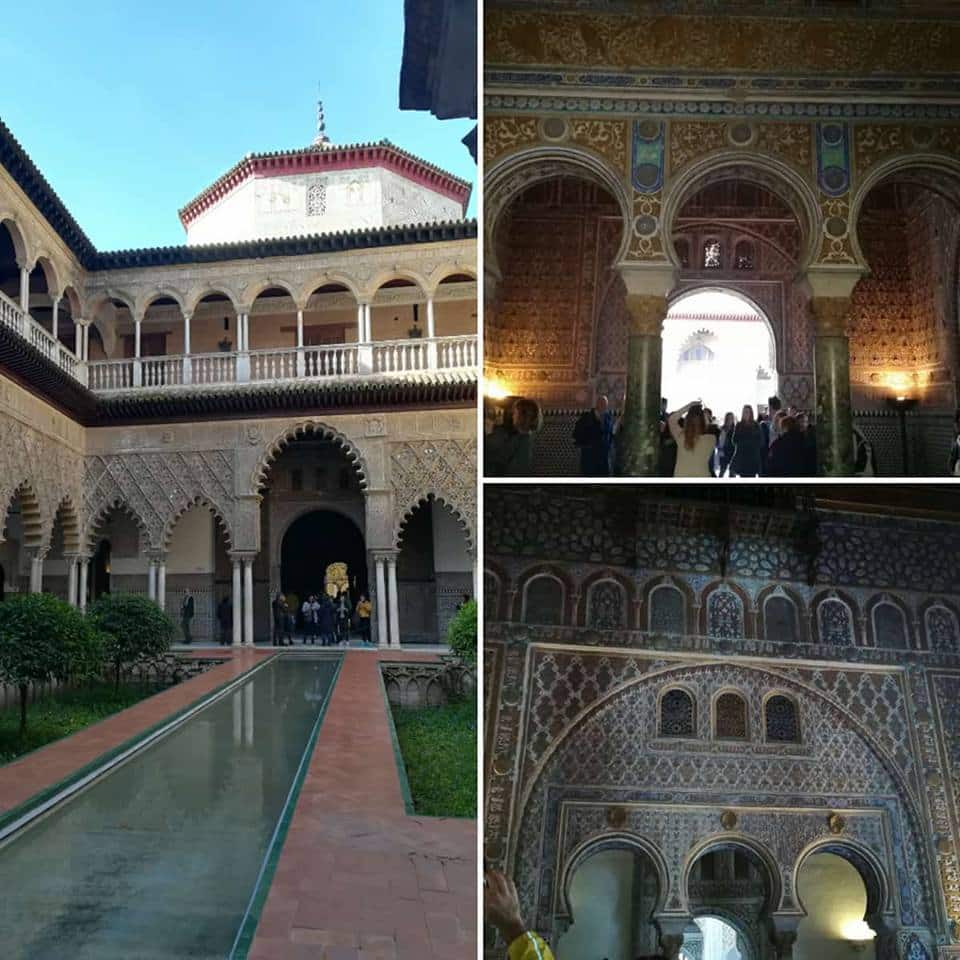 52e92f_9d9b3163011f49ada6ad48d2bc9374e4~mv2