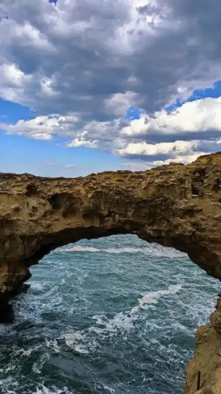 52e92f_c7da905222344ca193ce9a755a108ccb~mv2