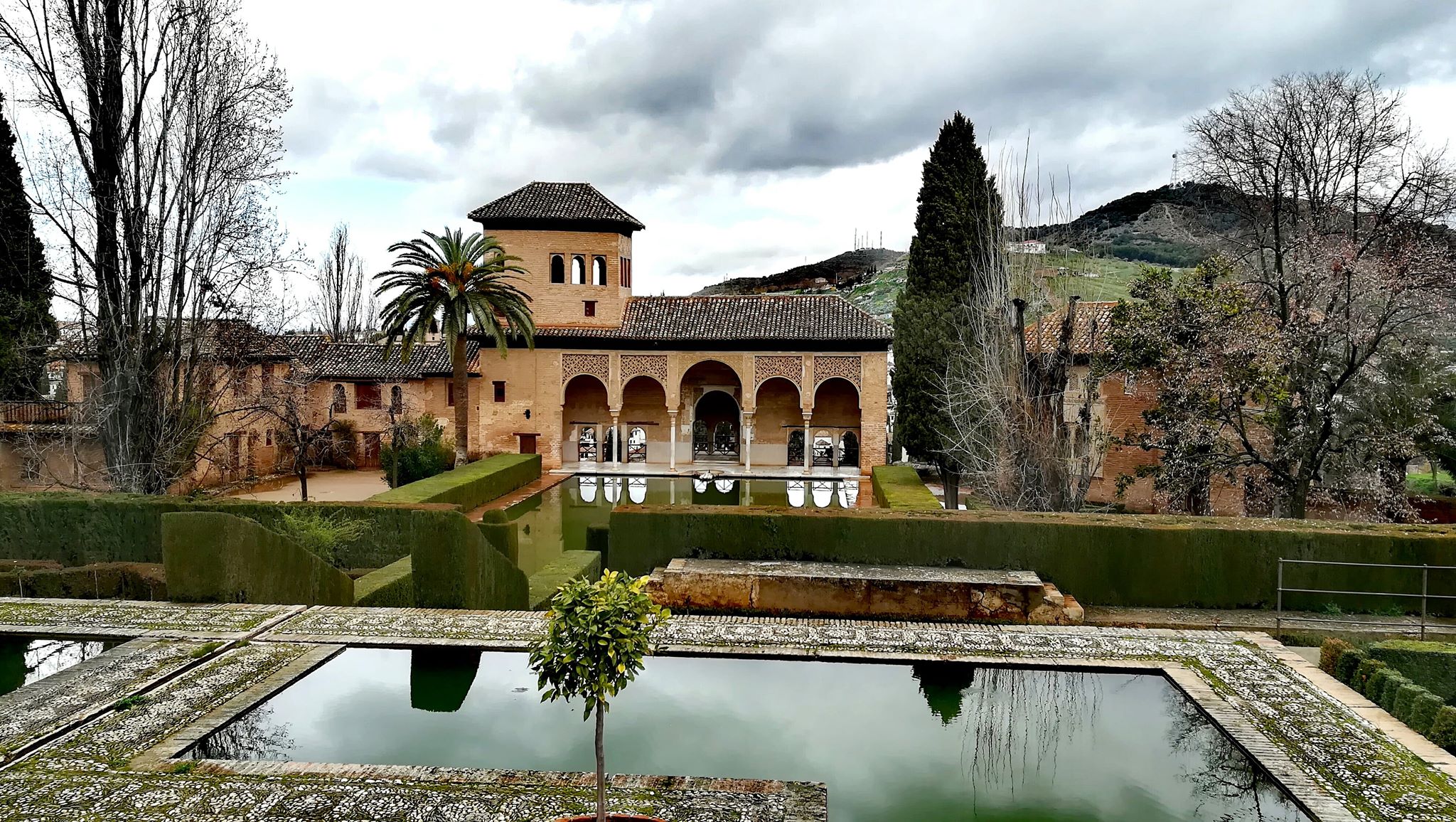 52e92f_d23321f45c004821a1cd9b62bf1aafa1~mv2