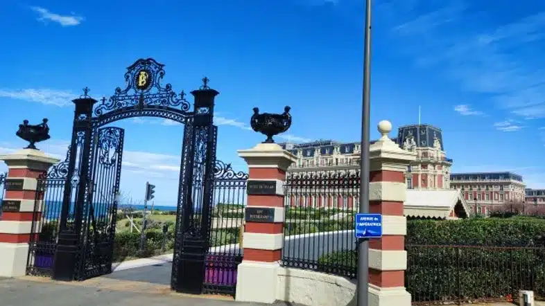 52e92f_dab2dd338b9e4267bc5fa82cff5f0b44~mv2