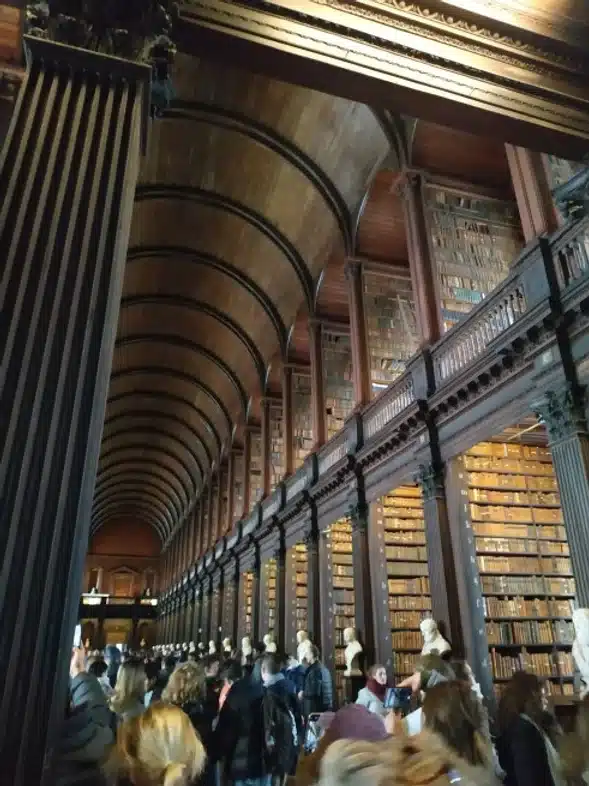 52e92f_f36e3f1889854d1fb6daa455c264cf8a~mv2