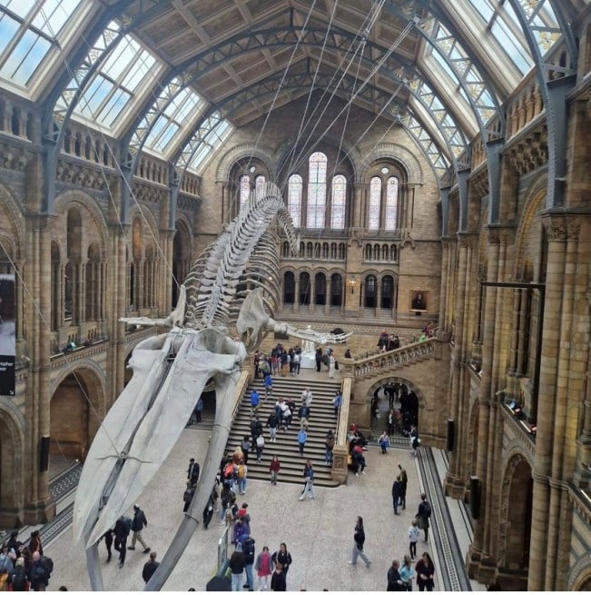 Ouverture internationale 1475 Voyage d’études à Londres - 29-03-2024 - Photo 3