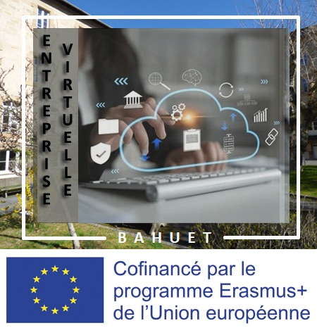 Entreprise virtuelle