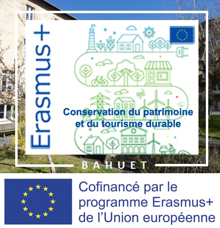 Vignette Conservation du patrimoine